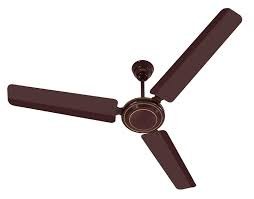 Usha Fan