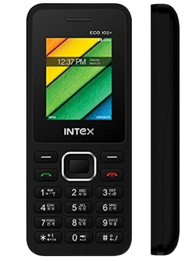 Intex