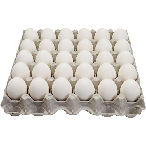 Egg (1 Box)