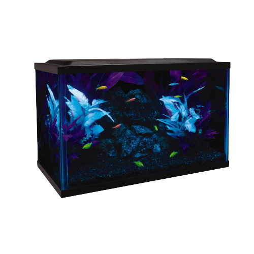 Light Aquarium