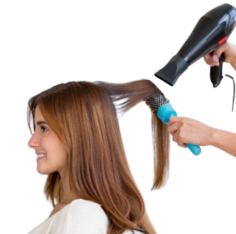 Hair Wash Blow Dryer