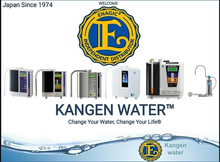 Water ionizer