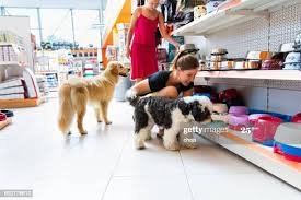 Pet Shop